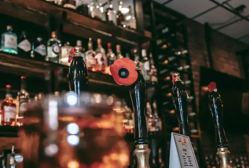 Photo showing The Poppy And Parliament