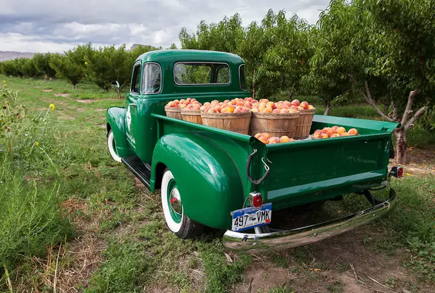 Photo showing Talbott's Cider Company