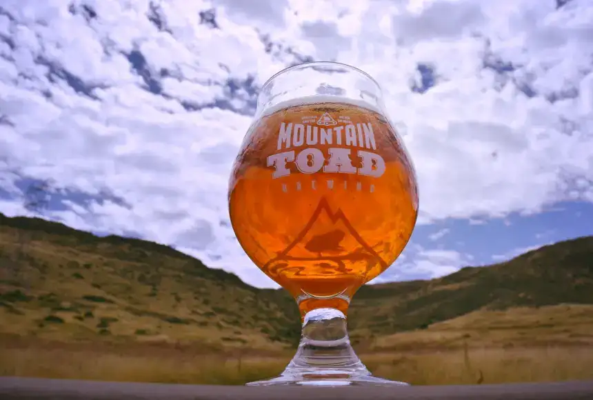 Photo showing Mountain Toad Brewing