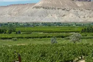 Photo showing Colorado Cellars Winery