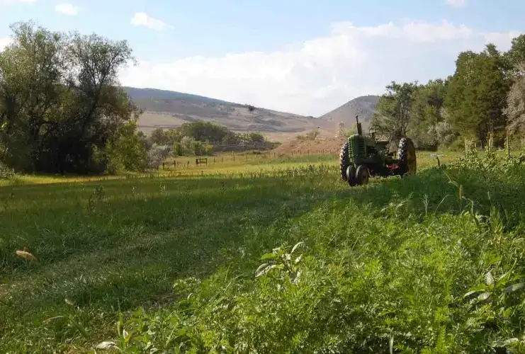 Photo showing Stonebridge Farm Winery