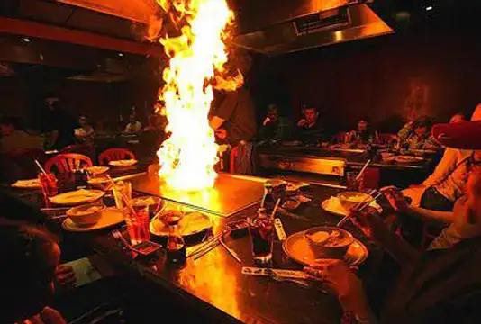 Photo showing Shogun Japanese Steakhouse