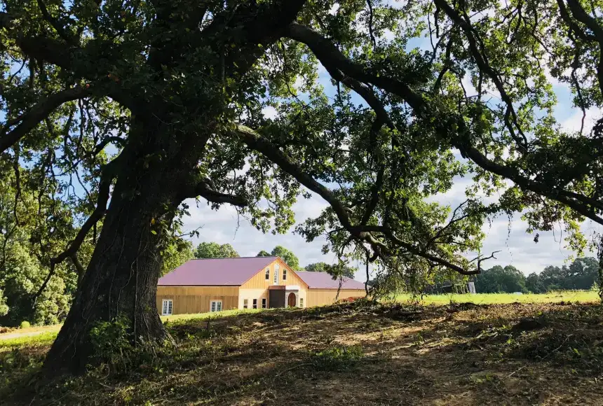 Photo showing Owl Creek Vineyard