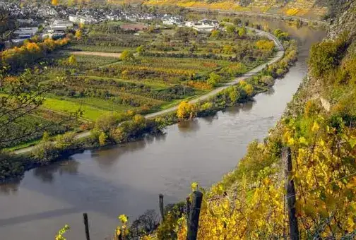 Photo showing Chateau Thomas Winery