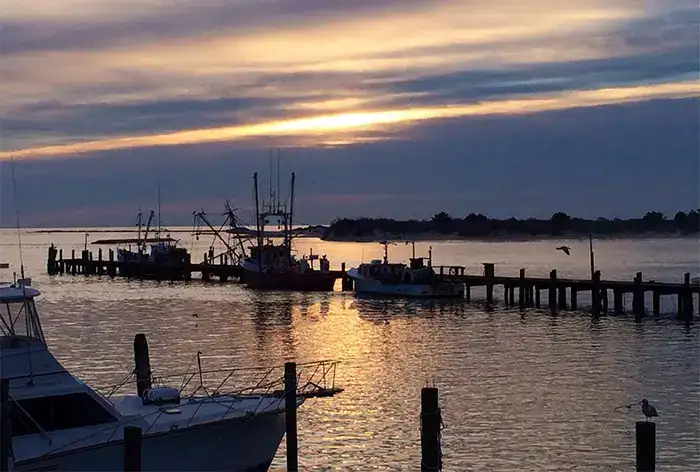 Photo showing The Shark On The Harbor