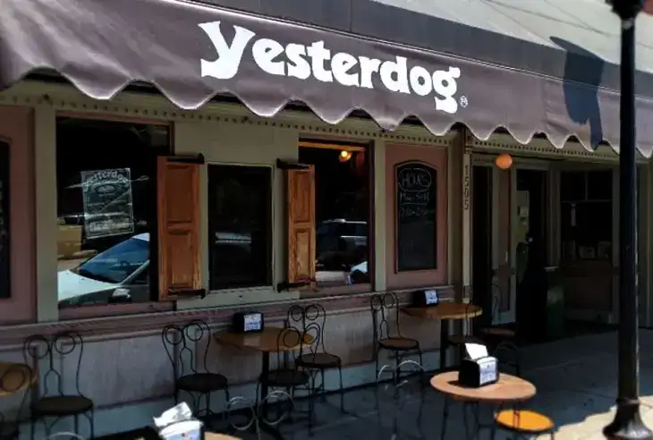 Photo showing Yesterdog