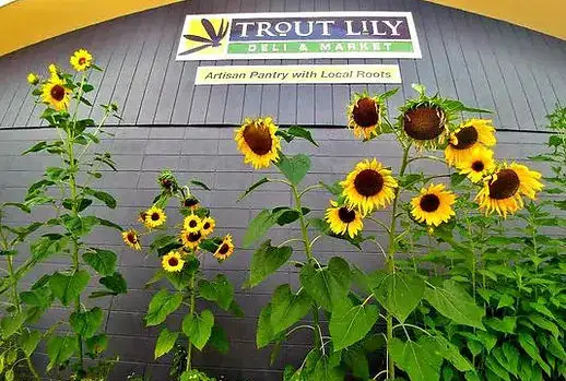 Photo showing Trout Lily Market