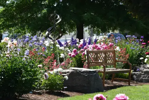 Photo showing Adelman Peony Gardens