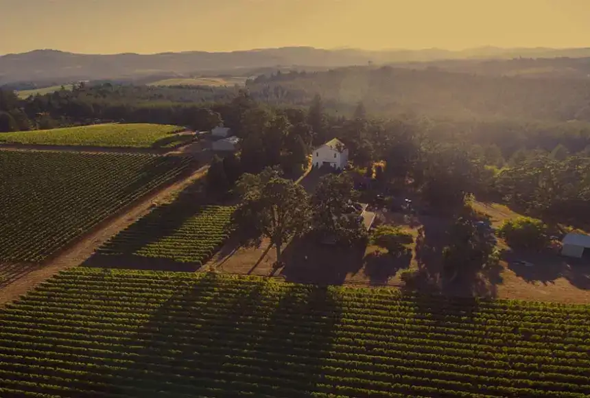 Photo showing Carlton Hill Vineyard And Winery