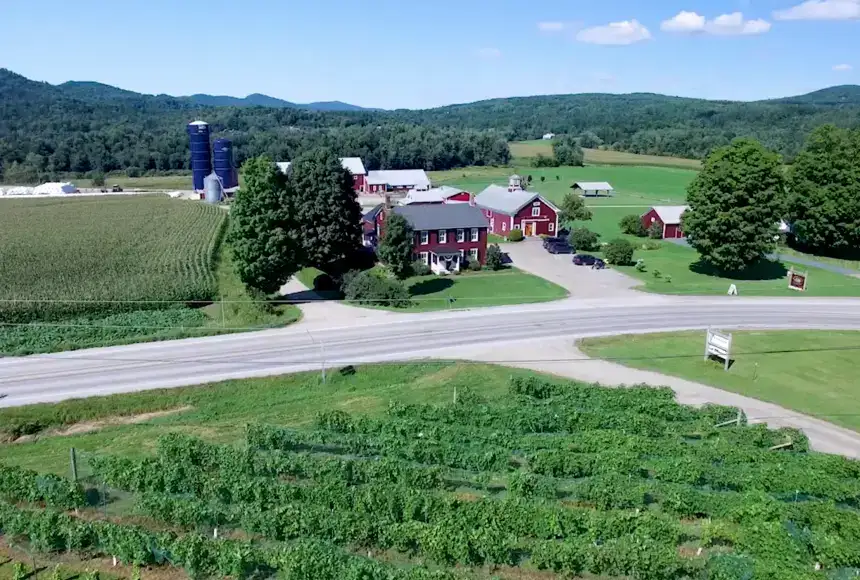 Photo showing Boyden Valley Winery & Spirits